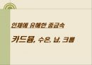 내 몸 속의 중금속 어떻게 할 것인가.ppt 5페이지