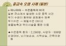 내 몸 속의 중금속 어떻게 할 것인가.ppt 14페이지