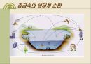 내 몸 속의 중금속 어떻게 할 것인가.ppt 17페이지