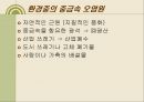 내 몸 속의 중금속 어떻게 할 것인가.ppt 20페이지