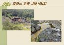 내 몸 속의 중금속 어떻게 할 것인가.ppt 22페이지