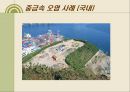 내 몸 속의 중금속 어떻게 할 것인가.ppt 25페이지