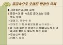 내 몸 속의 중금속 어떻게 할 것인가.ppt 34페이지