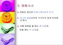직장 매너 11페이지