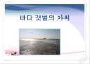 바다 갯벌의 가치 1페이지