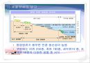 바다 갯벌의 가치 6페이지