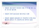 바다 갯벌의 가치 7페이지