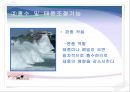 바다 갯벌의 가치 12페이지
