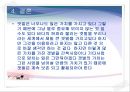 바다 갯벌의 가치 25페이지
