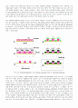 유기 EL (OLED - Organic Light Emitting Device or Diode) 10페이지