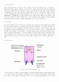 유기 EL (OLED - Organic Light Emitting Device or Diode) 13페이지