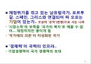  시정경제와 규제,역설 8페이지
