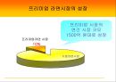  감자라면의 마케팅 전략비교 21페이지