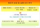  감자라면의 마케팅 전략비교 22페이지