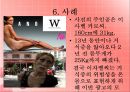 섭식장애 (섭식장애란, 섭식장애원인, 식장애치료, 섭식장애사례, 신경성식욕부진증, 거식증, 신경성폭식증).PPT자료 9페이지