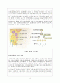 정자 형성과 난자 형성의 과정 (제주대학교/이화자/동물발생학/동발과제) 4페이지