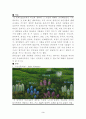 허브와인간생활 기말과제(송창길/송창길교수님/제주대학교/허브와인간생활) 3페이지