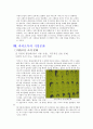 카카오톡 경영 성공사례분석과 카카오톡 서비스분석 및 나의의견 (카카오톡 본사직원 인터뷰내용 포함) 14페이지