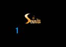 ebiz 가상의 기업 카페 세레니타 (Serenita).ppt 3페이지