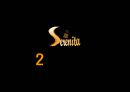 ebiz 가상의 기업 카페 세레니타 (Serenita).ppt 7페이지