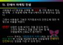 진에어 마케팅사례분석과 진에어 IMC 전략 기획서 16페이지