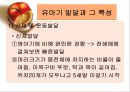 유아기 발달 및 특징  6페이지