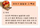 유아기 발달 및 특징  8페이지