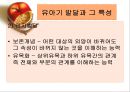 유아기 발달 및 특징  11페이지