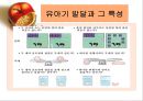 유아기 발달 및 특징  13페이지