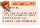 유아기 발달 및 특징  18페이지