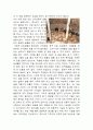 제주의 역사와문화 레포트 - 삼양동 선사 유적지, 제주의 역사 3페이지