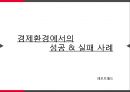 경제환경에서의성공 & 실패사례 1페이지