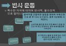 아동기 발달과 사회복지  17페이지