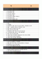  인사교류 - 중앙 vs 지방 & 정부 vs 민간 2페이지