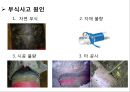 부 식 11페이지