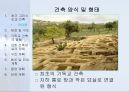 서양건축사. PPT자료 12페이지