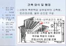 서양건축사. PPT자료 23페이지