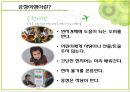 공정 여행 17페이지