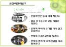 공정 여행 18페이지