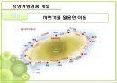 공정 여행 26페이지