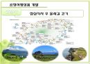 공정 여행 29페이지