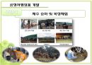 공정 여행 30페이지