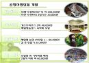 공정 여행 32페이지