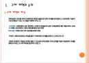 정부 규제정책의 개혁사례 3페이지
