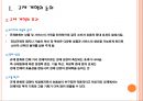 정부 규제정책의 개혁사례 6페이지