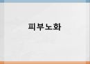 피부 노화 1페이지