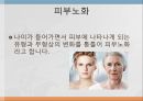 피부 노화 3페이지