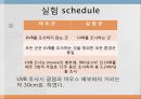 피부 노화 8페이지