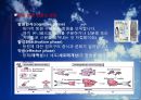 적응 면역  13페이지