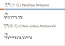 이진탕천식 4페이지
